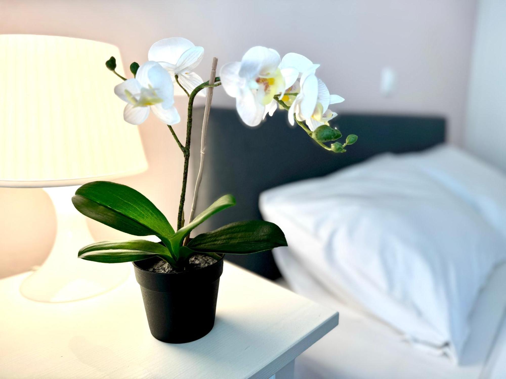 Sun Beach Apartment อานาวีซอส ภายนอก รูปภาพ